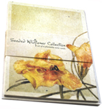 Watercolor Seeded Cards