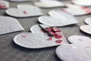 Click for petal paper seed paper hearts