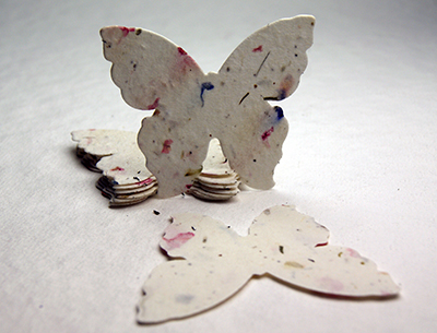 #17s butterfly seed paper