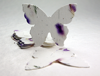#58s butterfly seed paper