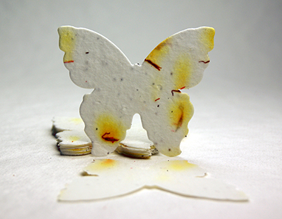 Plantable Paper Butterflies - with choice of custom personalized cards –  Recycled Ideas Favors