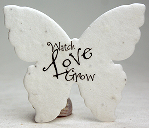 watch love grow butterfly seed paper
