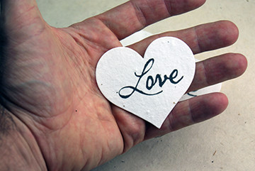 hearts close up