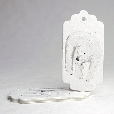 Polar Bear tag