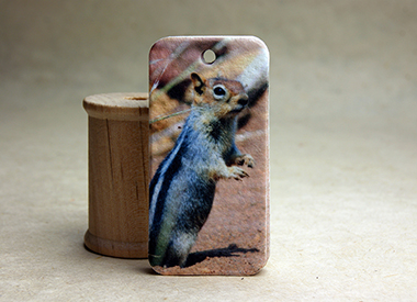 nature photography seed paper tag