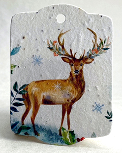seed paper tags