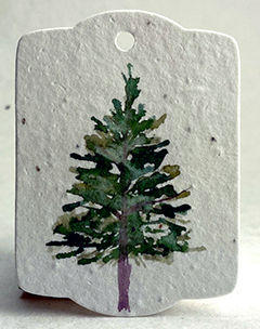 seed paper tags