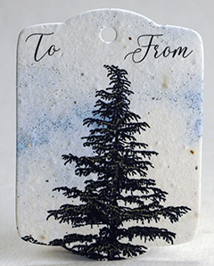 seed paper tags