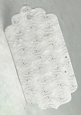 polar bears tag