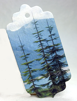 Cascade Trail tag