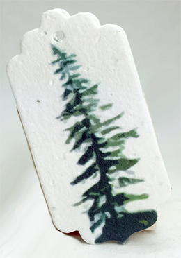 cedar branch tag