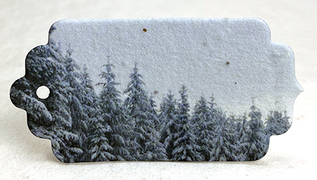 winter trees tag