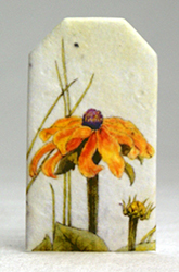 tiny tag seed paper wildflower