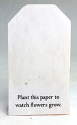 tiny tag seed paper wildflower