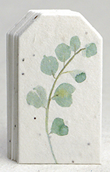 seed paper Tiny tags