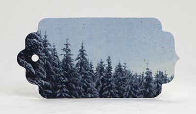 winter trees tag