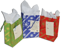 holiday gift bag