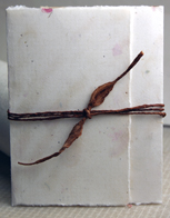earth friendly seed paper bifold invitation with hemlock ecotwist