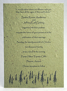 Mountain Photo Panel Invitation