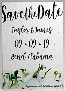 sprouts seed paper invitation 5x7
