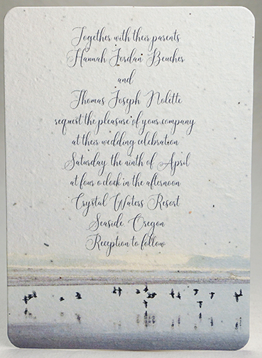 Coastal Birds  print seed paper invitation 5x7
