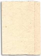 lotka seeded bifold invitation