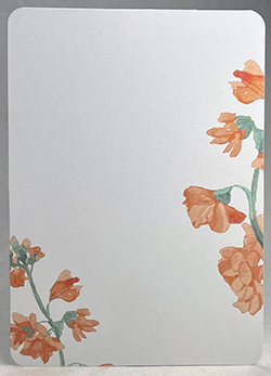 orange snapdragon  Print