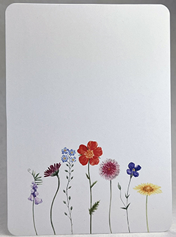 rainbow stem line Print