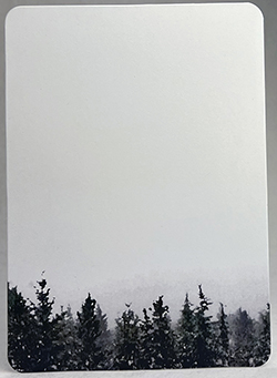 Winter Trees Print