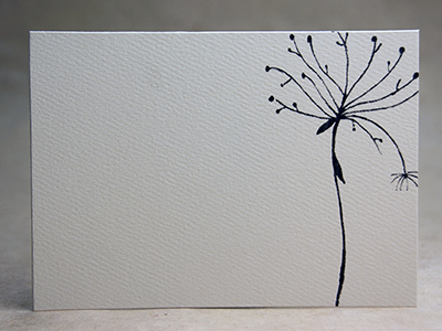 Queen Anne's Lace