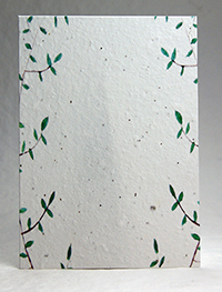 Garden Border