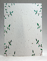 garden border
