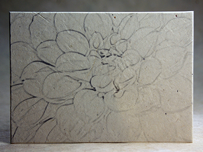 Grey Dahlia in Lotka