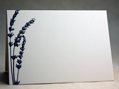 Grey Lavender