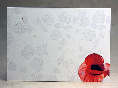 Poppy and Grey Rose
