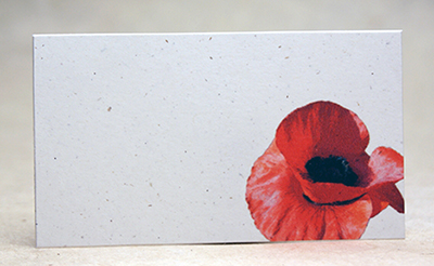 Poppy