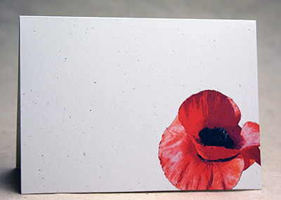 Poppy