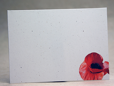 Poppy