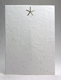 Starfish