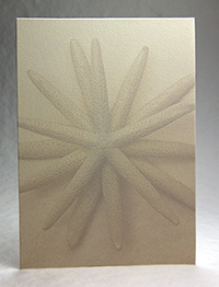 Starfish Flower