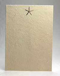 Starfish