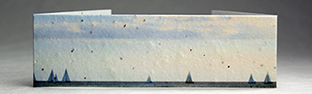 Sailboats