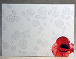Poppy and Grey Rose