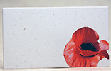 poppy, bottom right