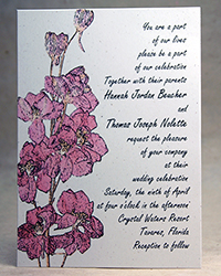 Pink Larkspur Stem