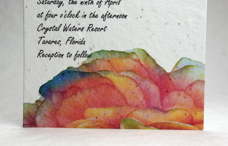 ranunculus print seed paper invitation 5x7