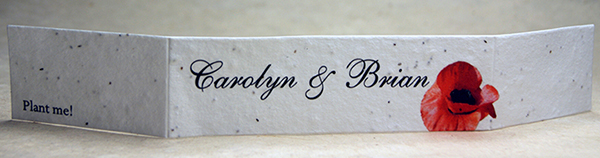 cotton seed paper invitation band