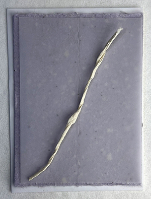 6x9 cotton invitation print at home