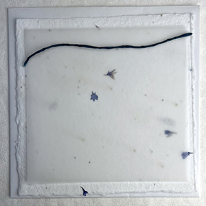 6x6 cotton invitation 