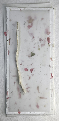 4x9 cotton invitation print at home